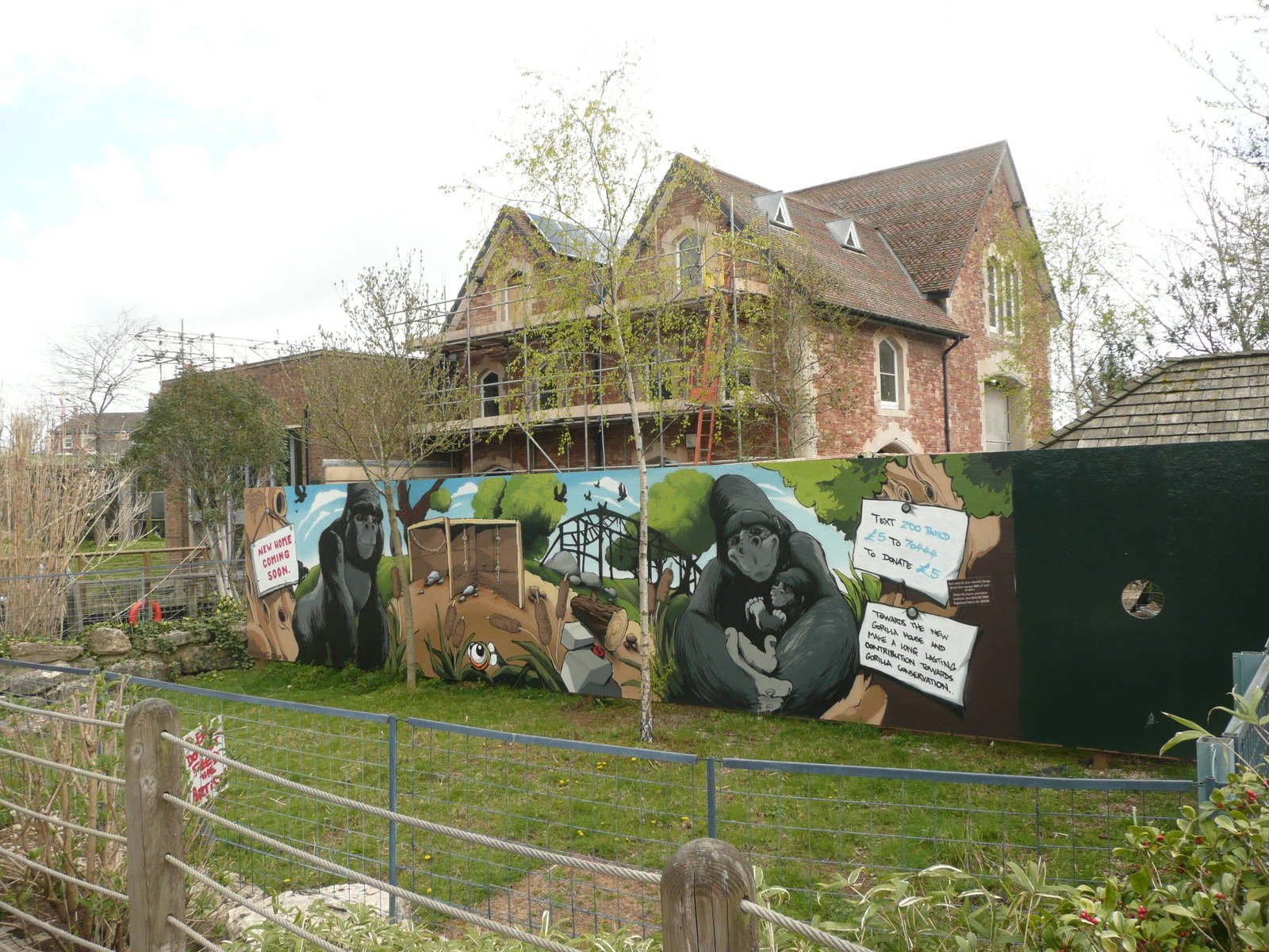 Work on Gorilla House