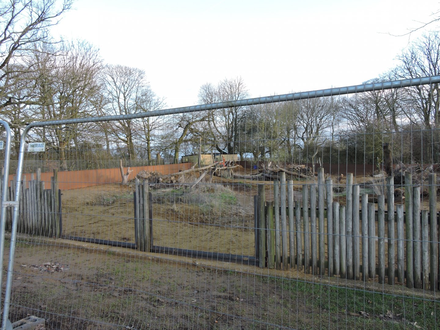 Work On Meerkat Enclosure