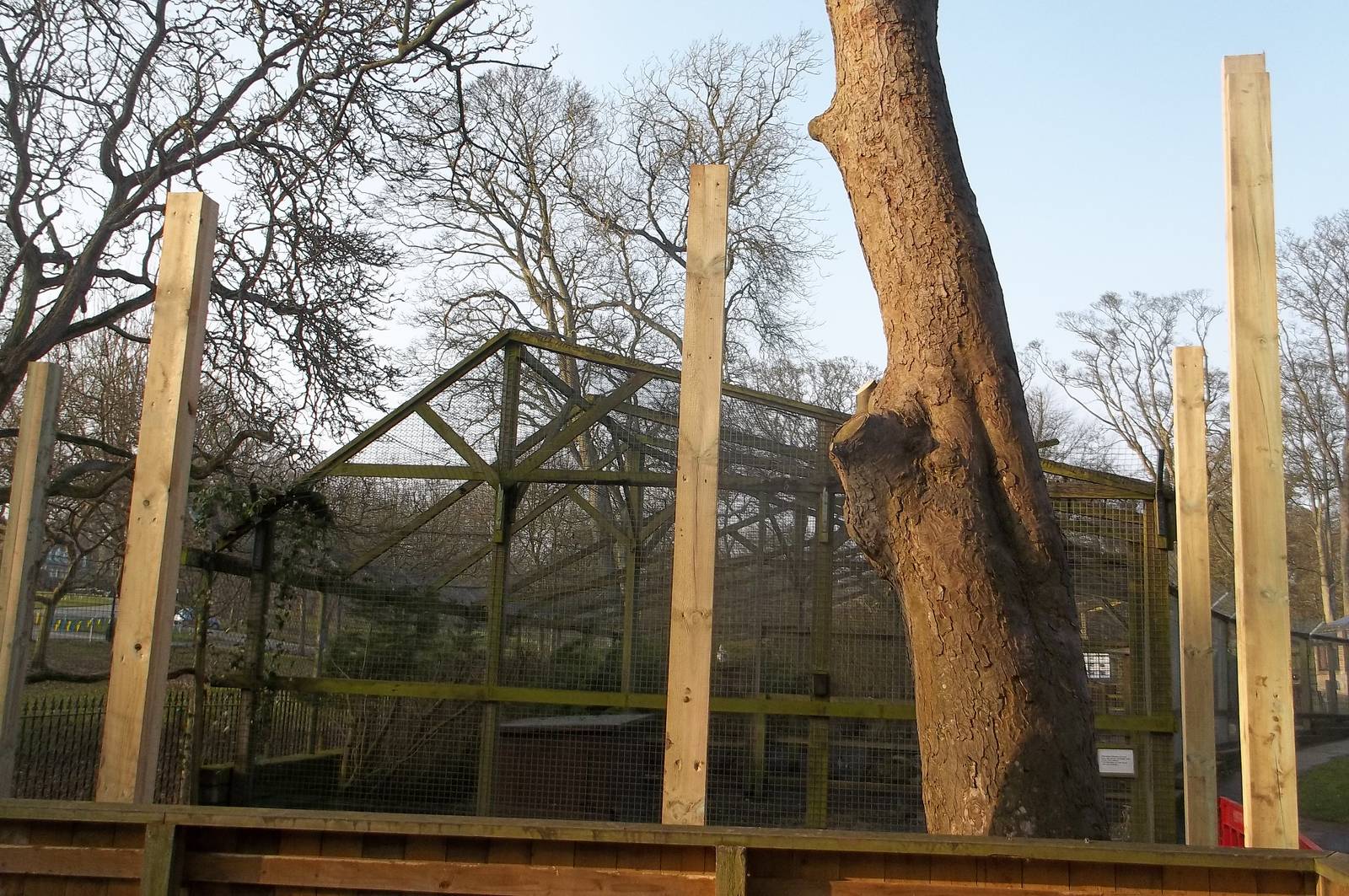 Work on new Coati exhibit, 11th March 2016