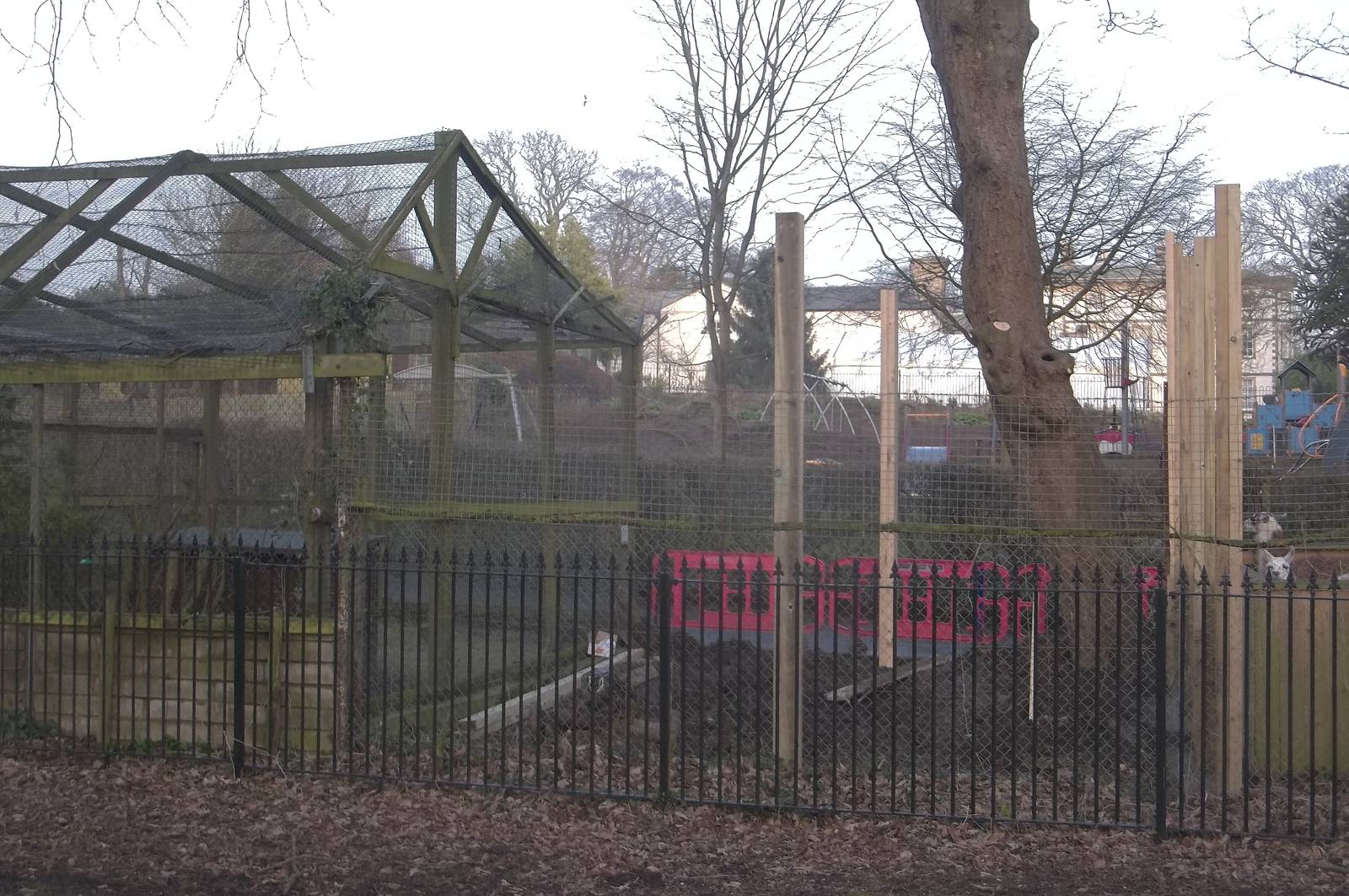 Work on new Coati exhibit, 11th March 2016