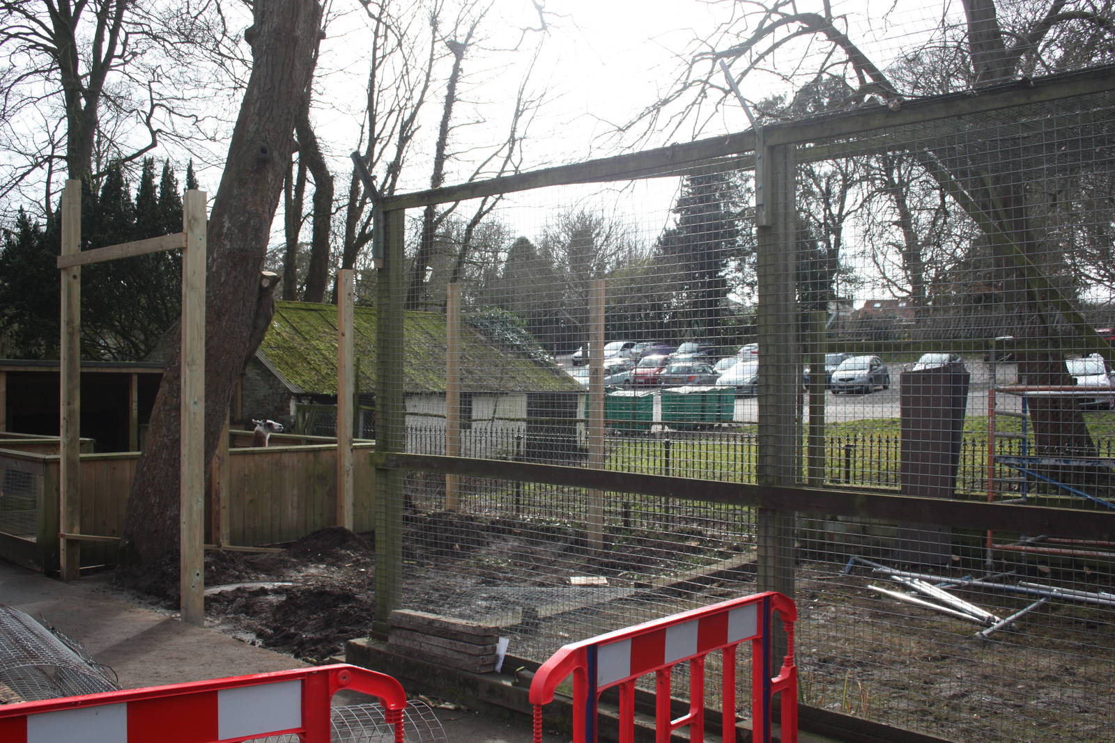 Work on new Coati exhibit, 18th March 2016