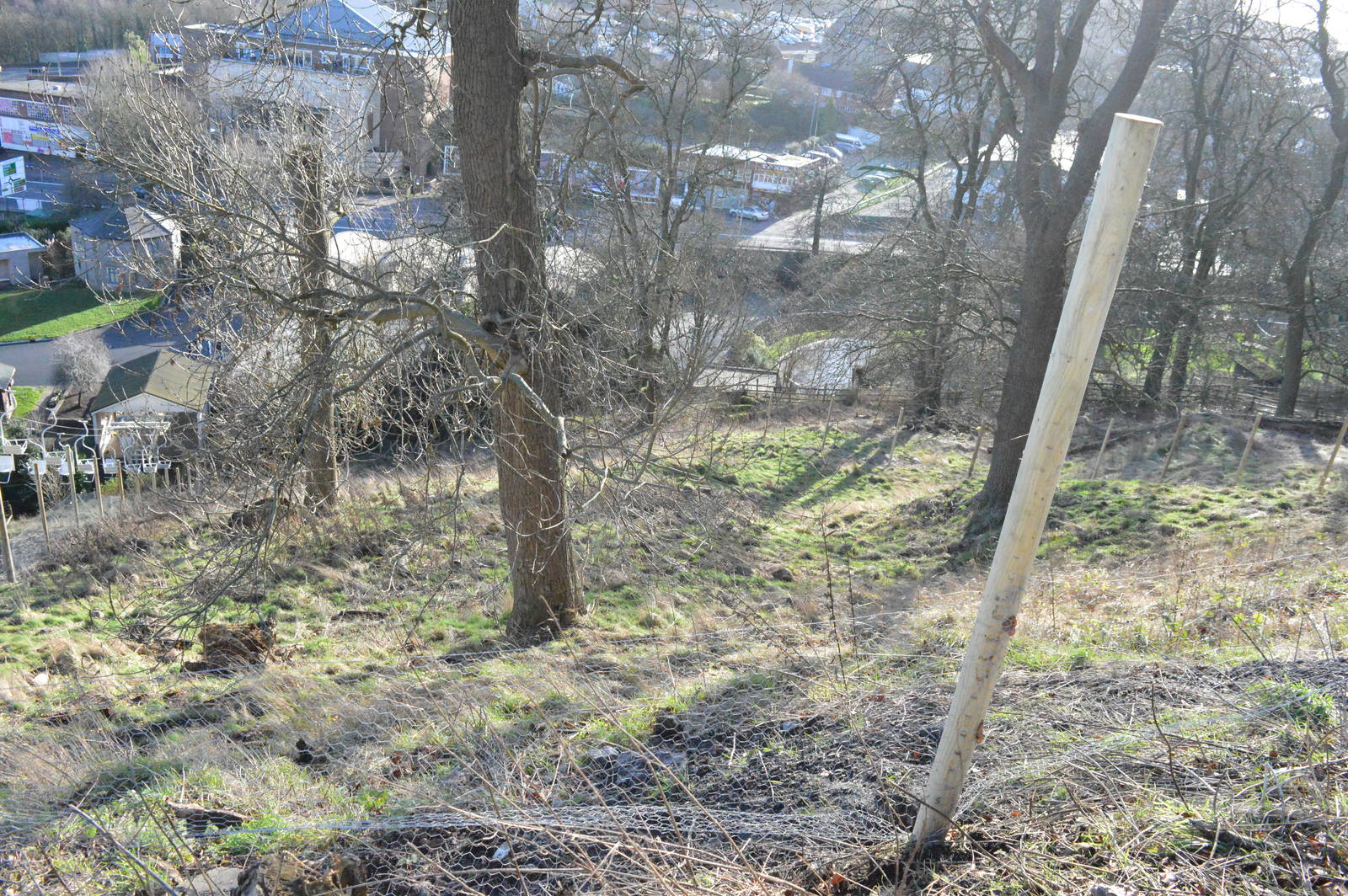 Work on new hillside enclosure