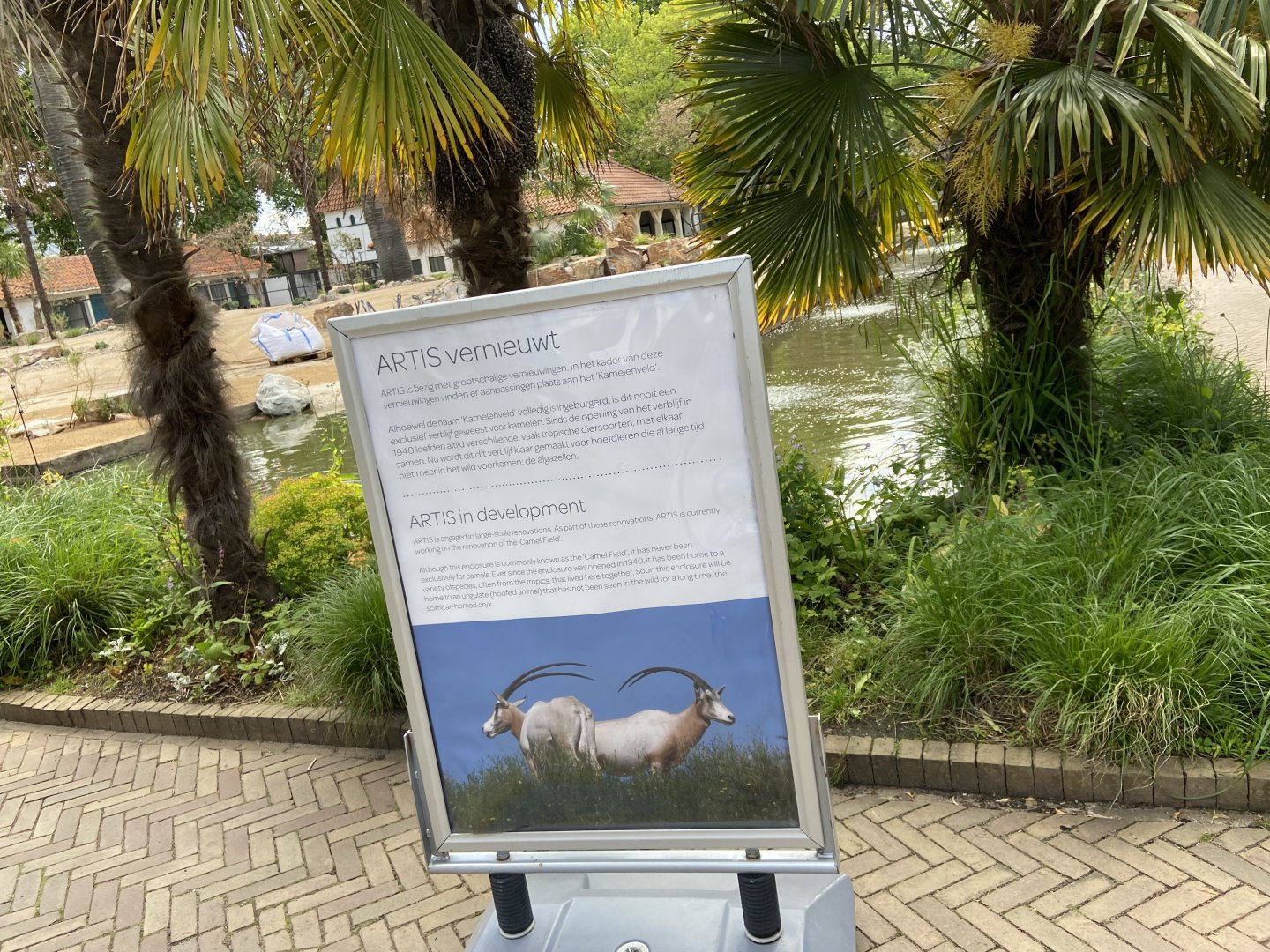 Work on new scimitar-horned oryx enclosure