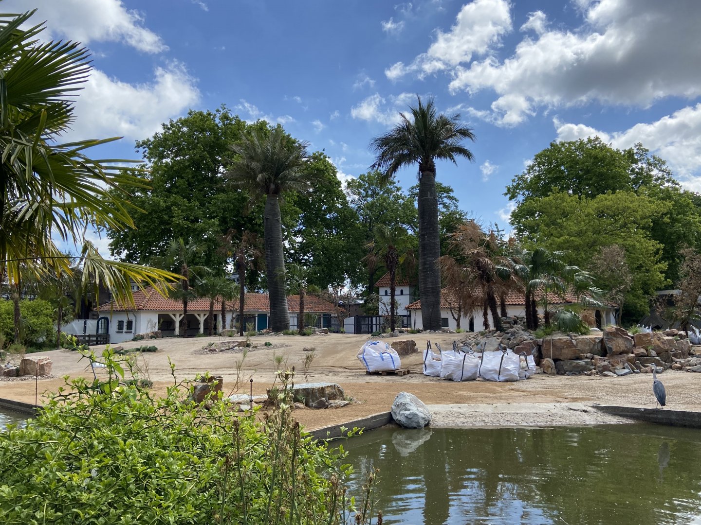 Work on new scimitar-horned oryx enclosure