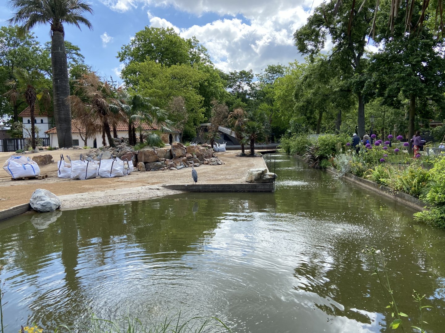 Work on new scimitar-horned oryx enclosure