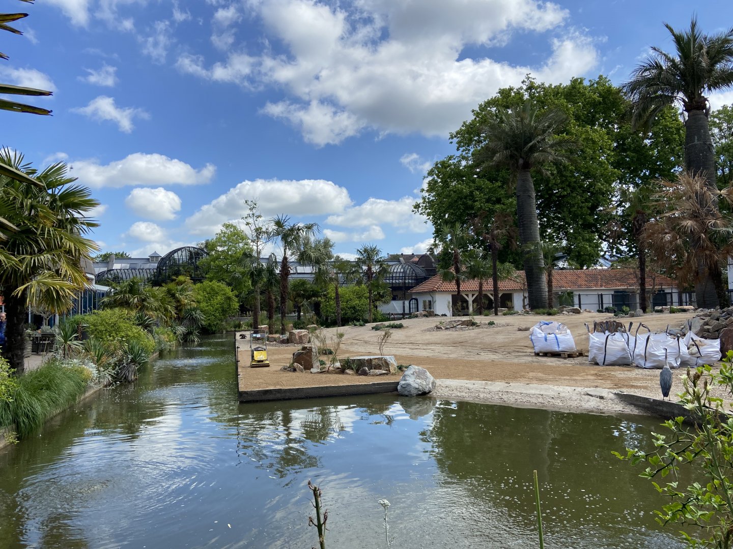 Work on new scimitar-horned oryx enclosure
