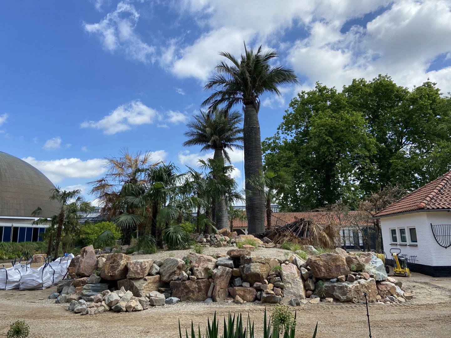 Work on new scimitar-horned oryx enclosure