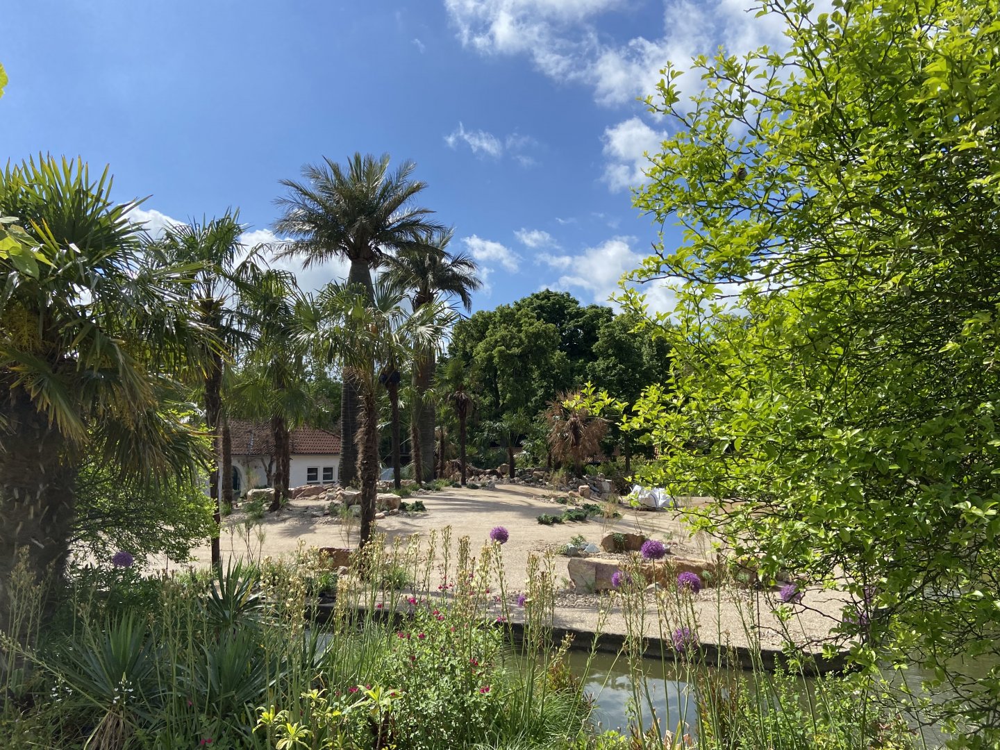 Work on new scimitar-horned oryx enclosure