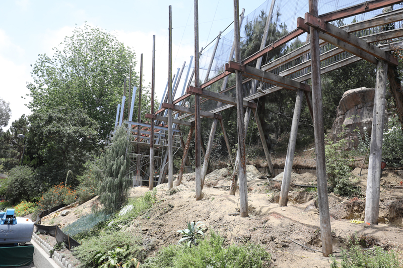 work on raptor aviaries