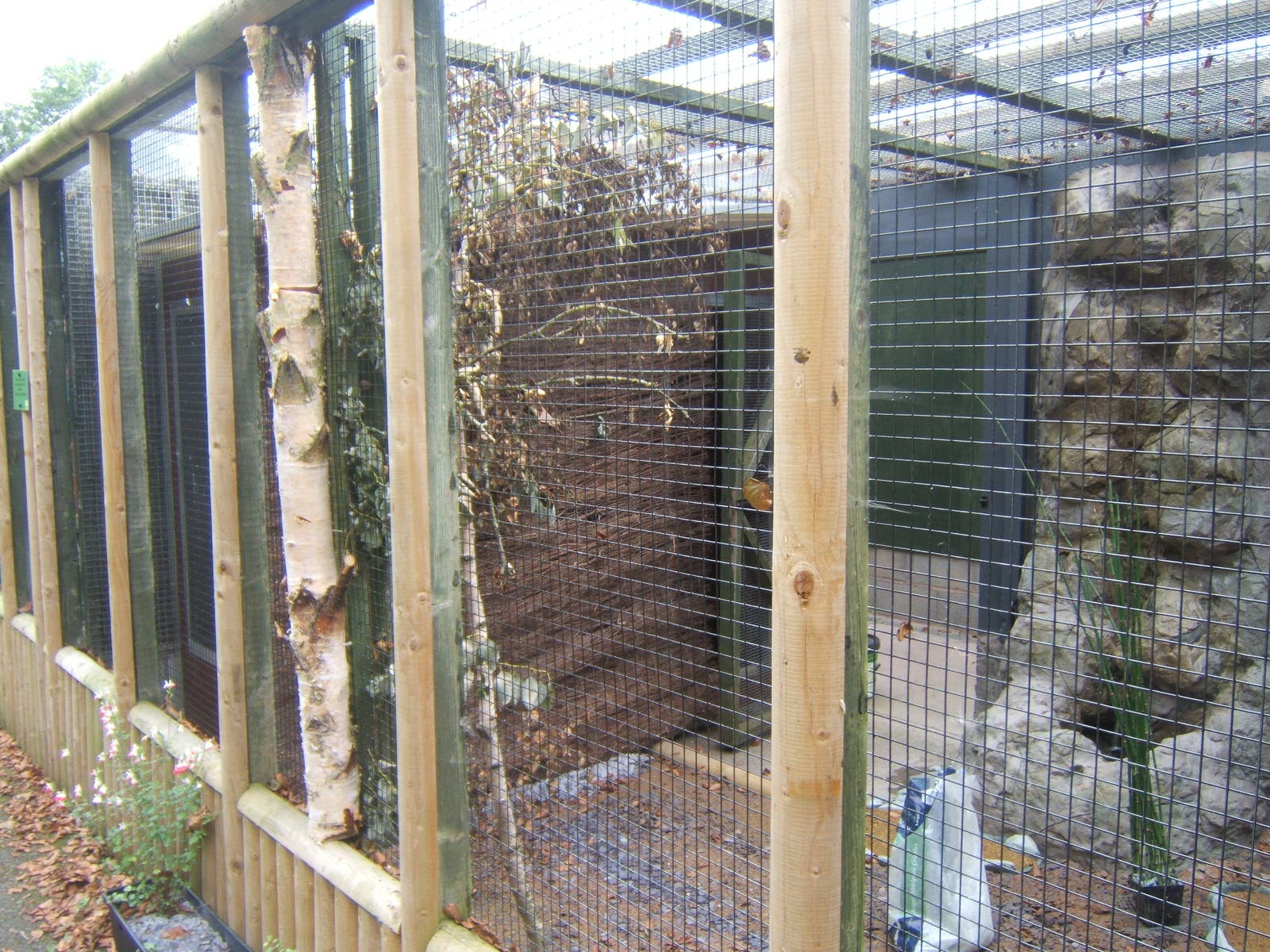 Work on the aviary block