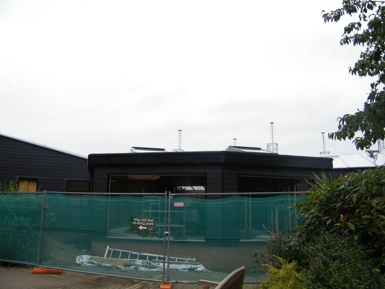 Work on the chimp house