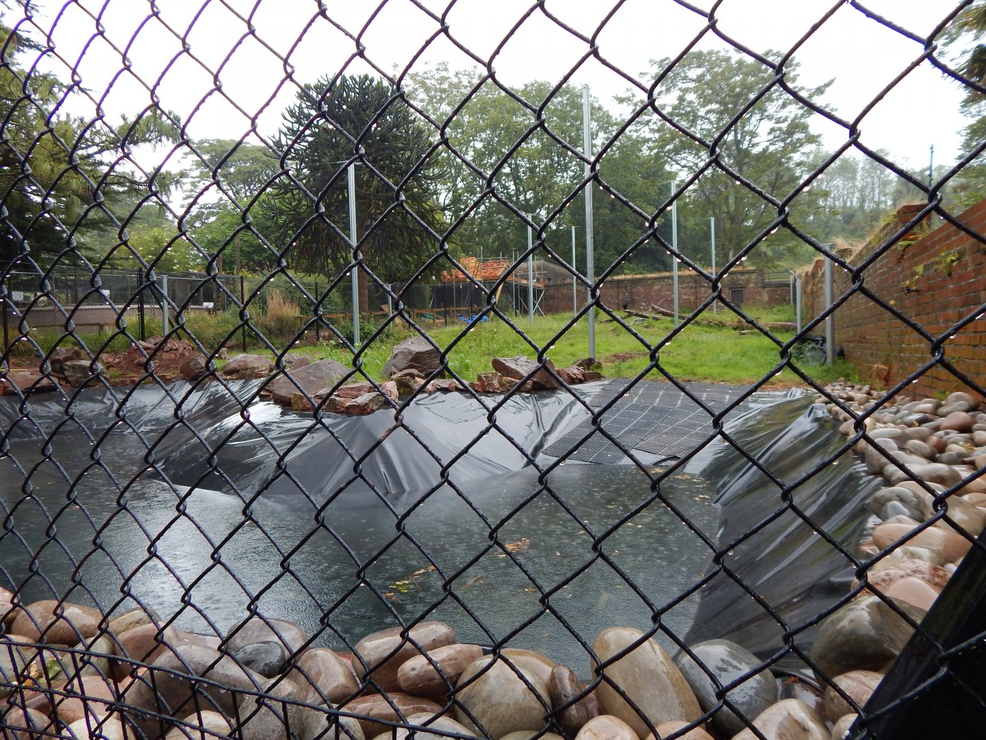 Work on the former South American tapir exhibit 130624