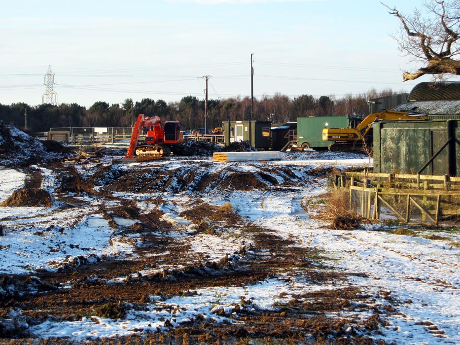 Work on the lion enclosures