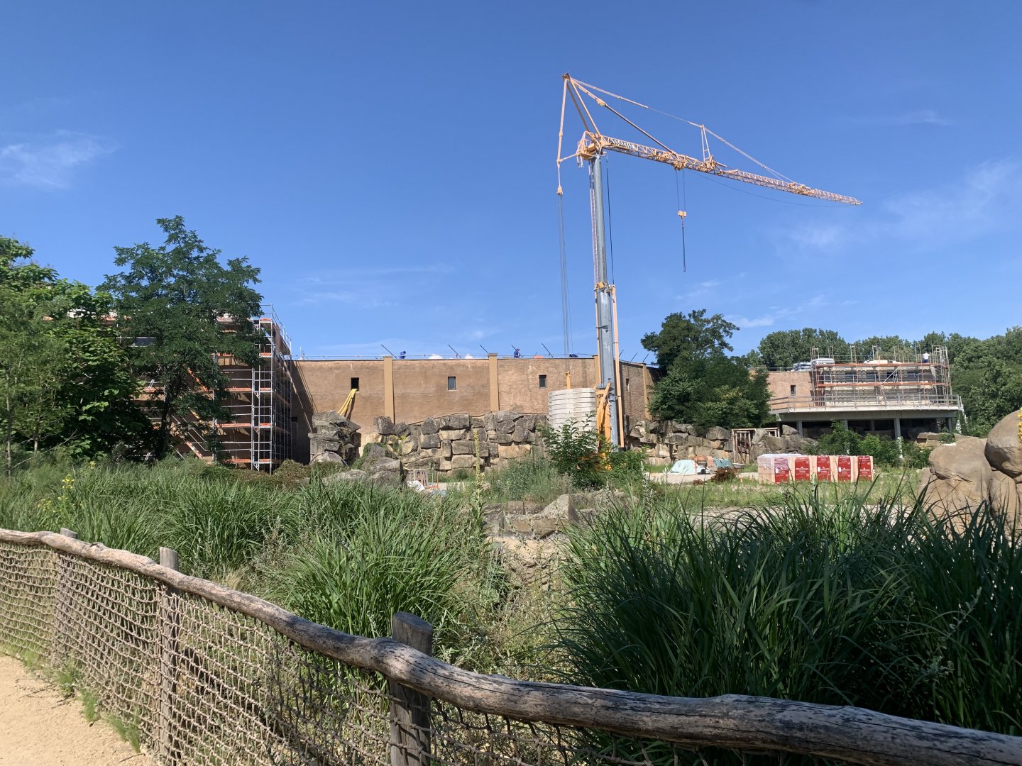 Work on the new African pavilian