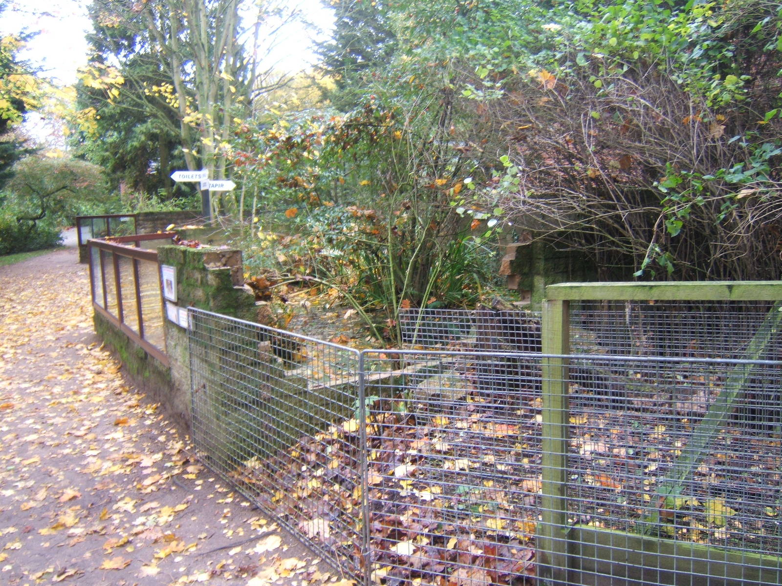 Work on the new Dwarf Mongoose enclosure