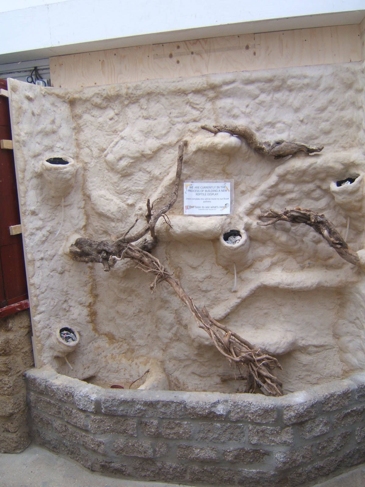 Work on the new Royal Python exhibit