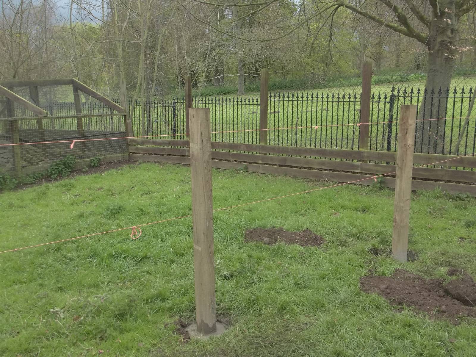 Work on the Raccoon Dog exhibit extension had commenced, 6th May 2015