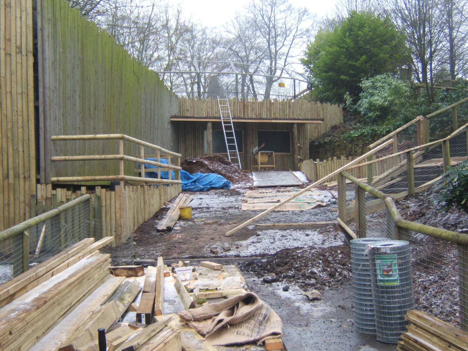 Work on the Tiger enclosure