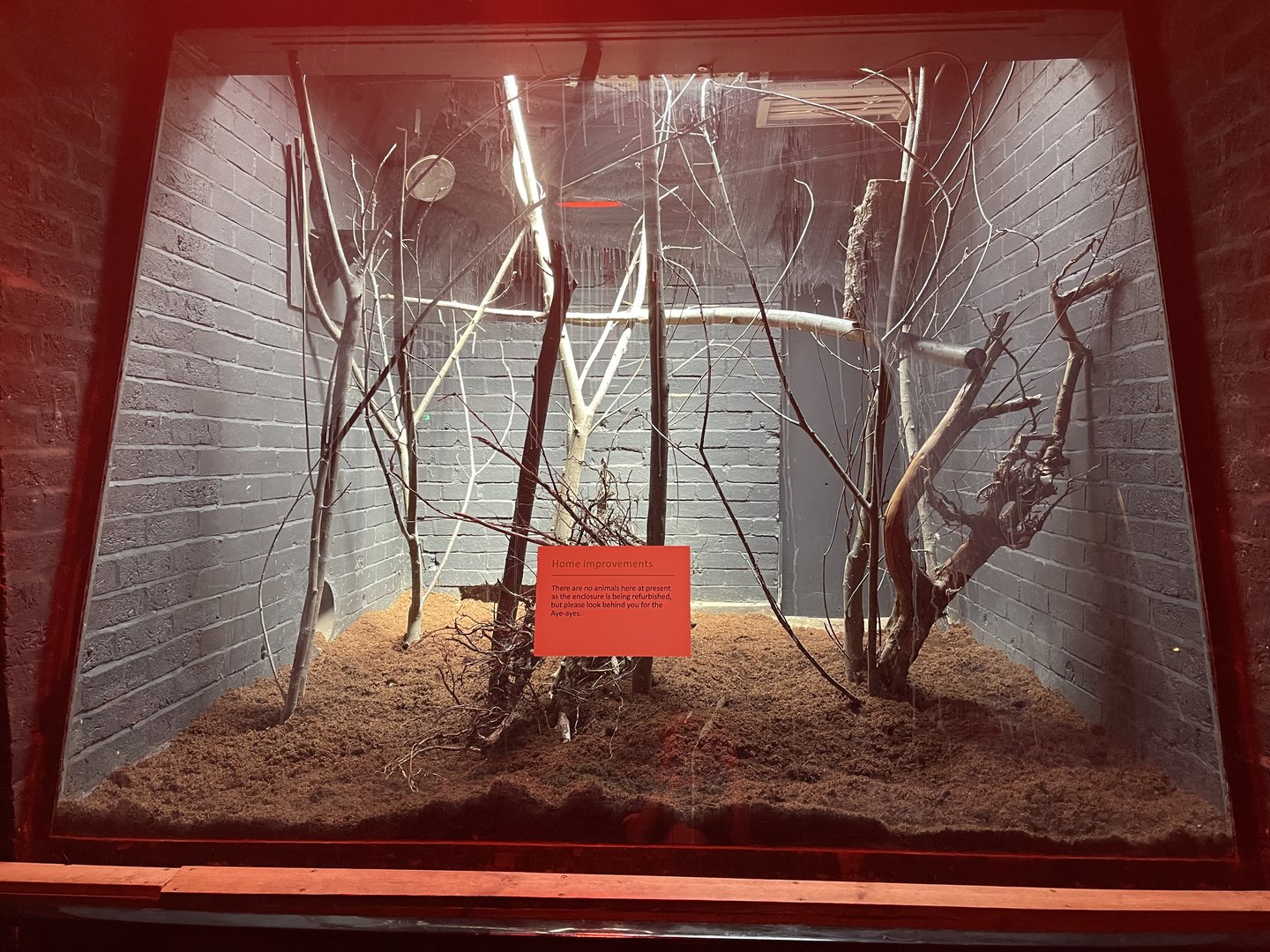 Work taking place in the lemur house