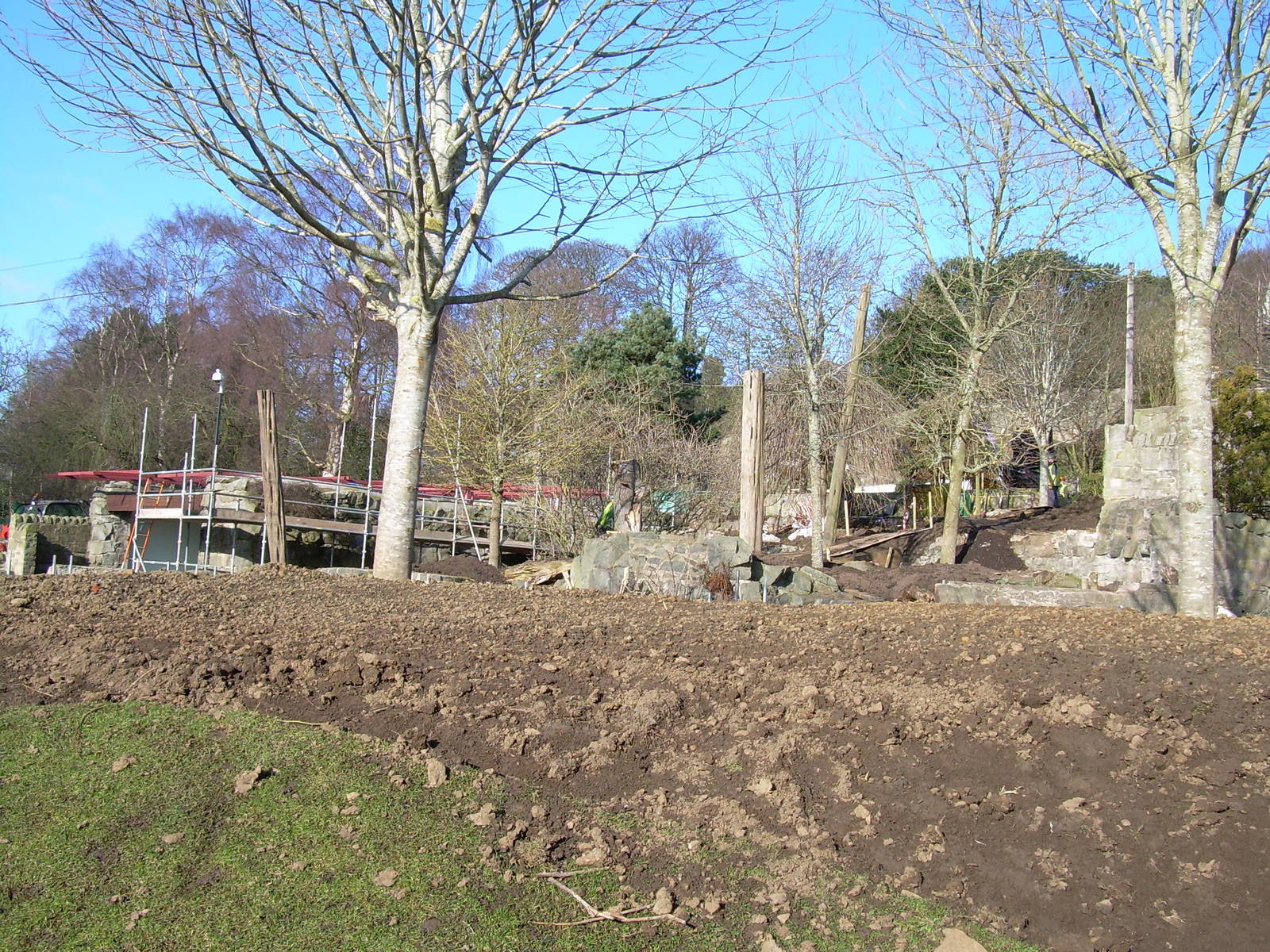 Working for the Sun Bears