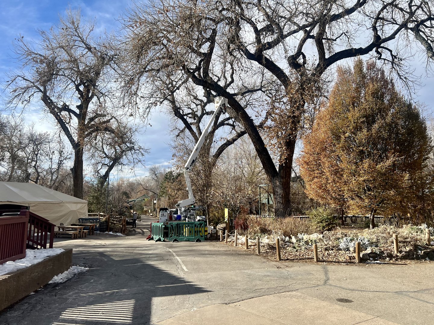 Working on the Holiday Lights