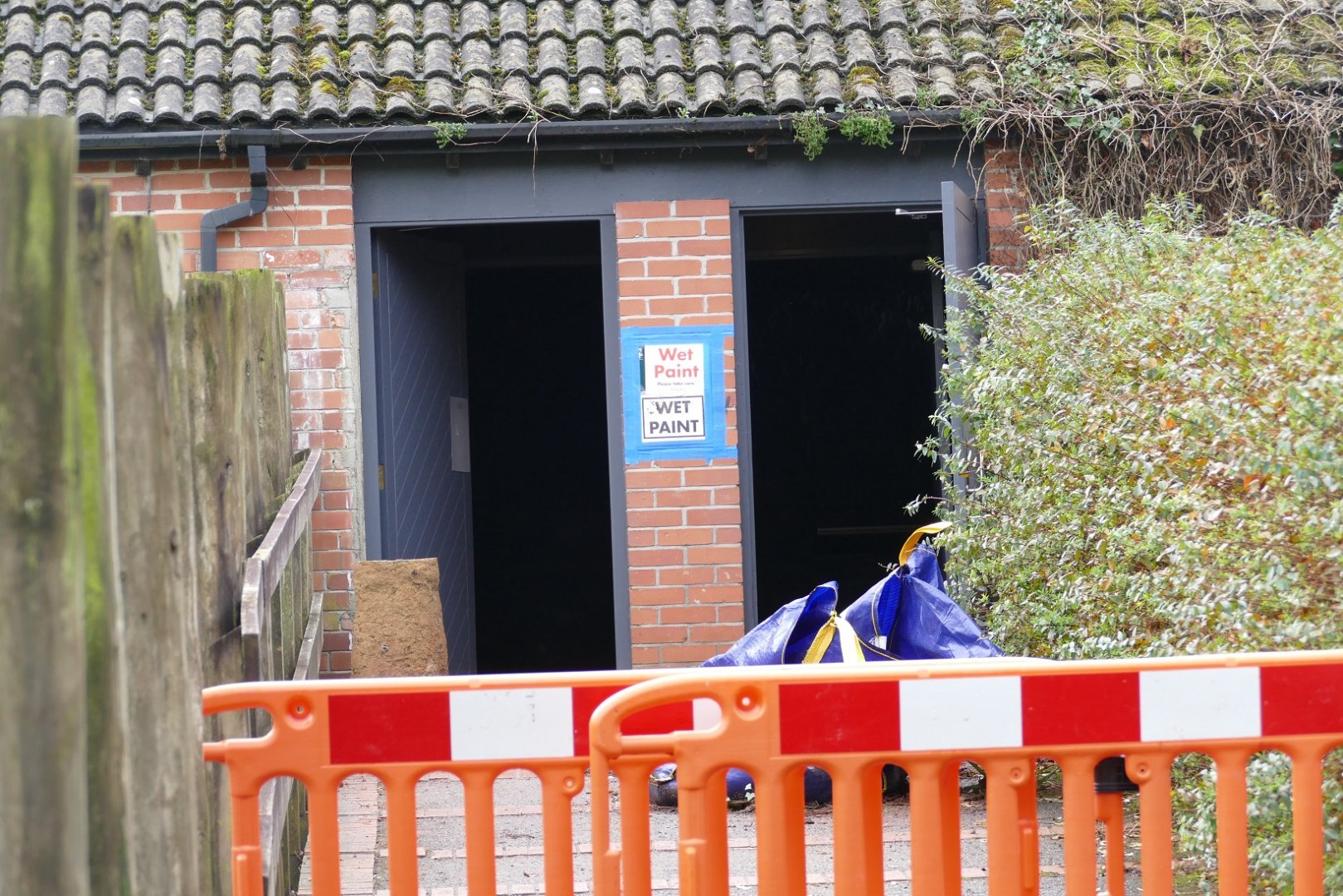 Working on the Nocturnal House, February 2019