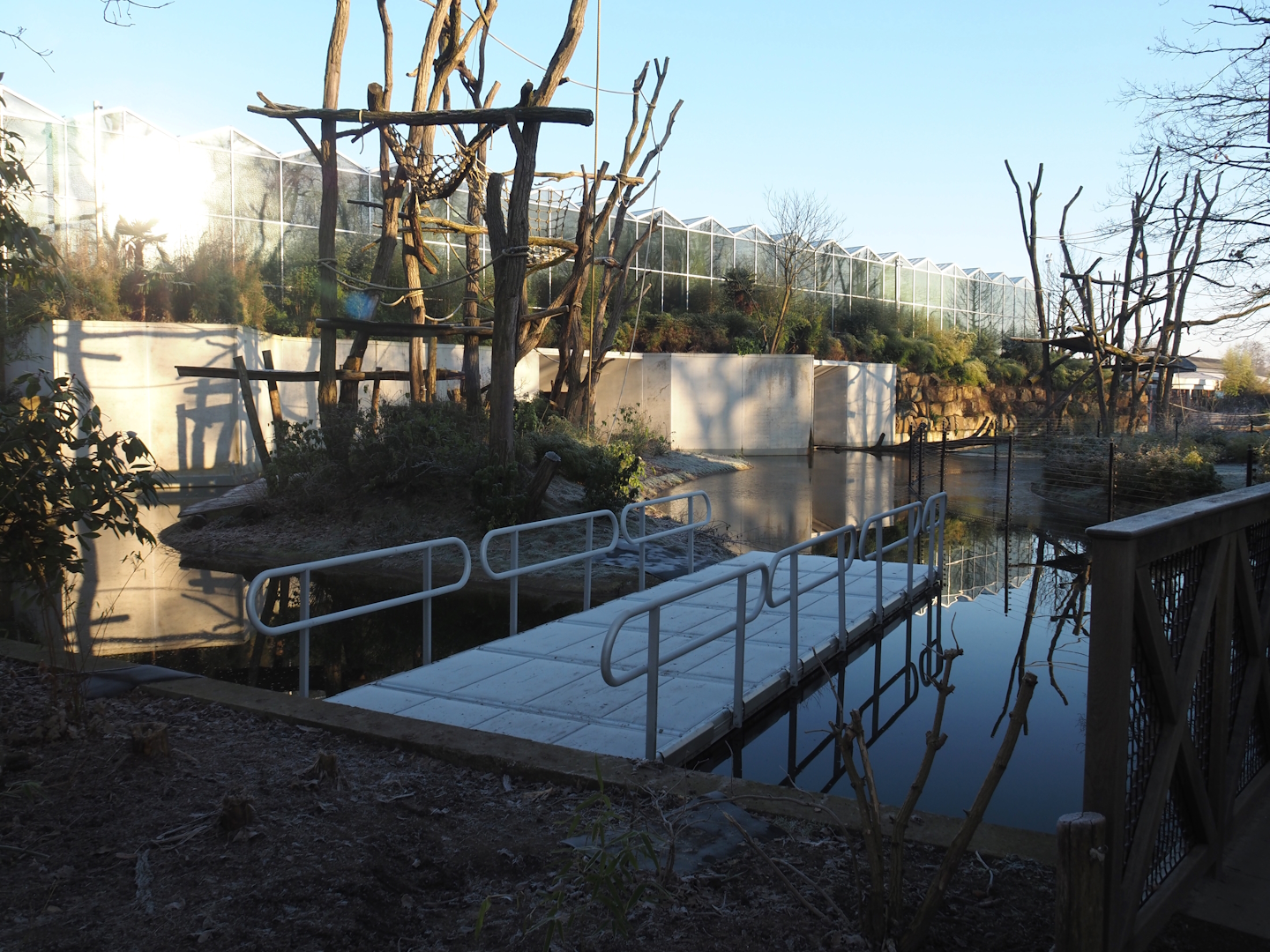 Working pontoon next to Sumatran orangutan island, 2025-02-02