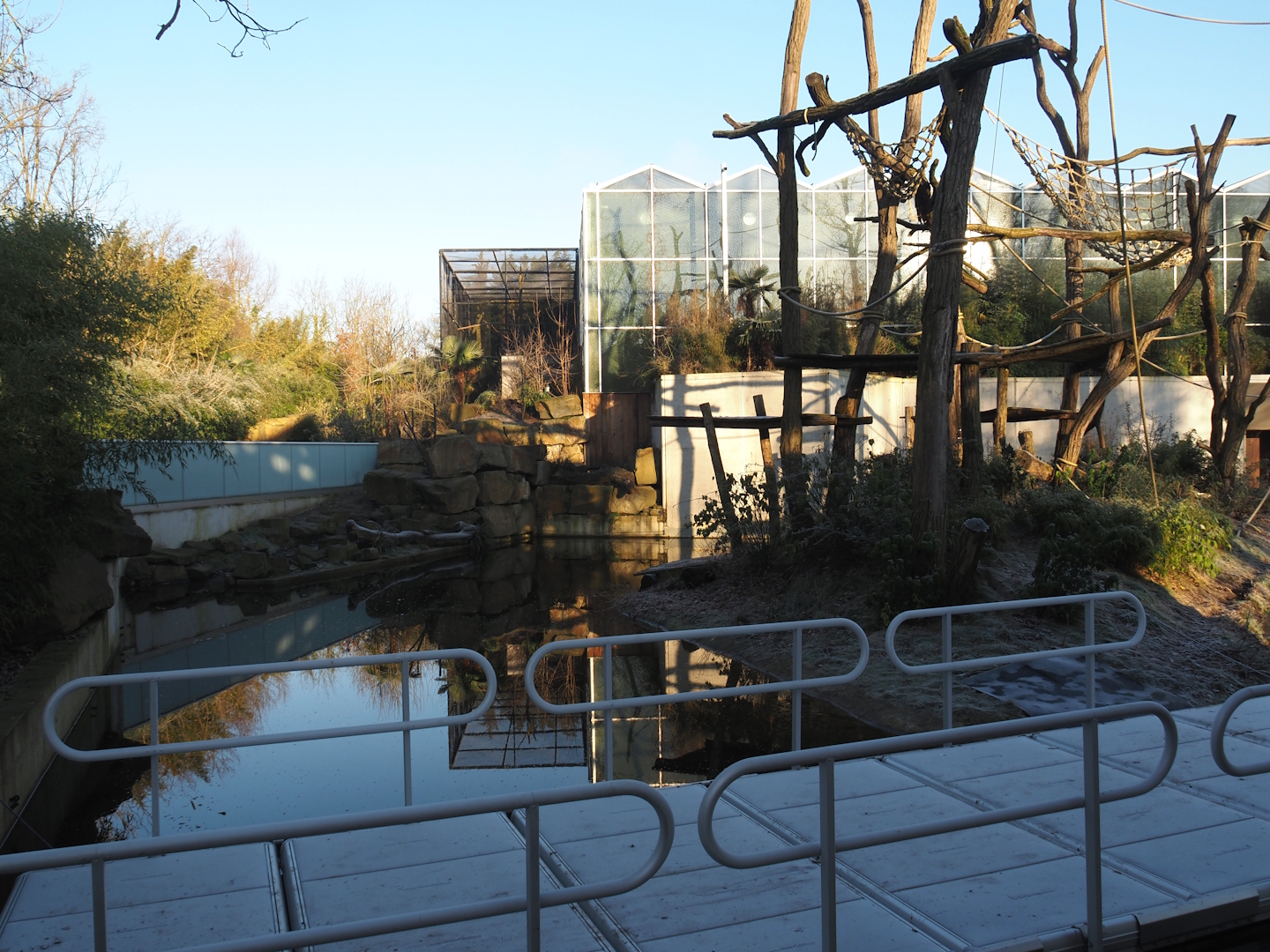 Working pontoon next to Sumatran orangutan island, 2025-02-02