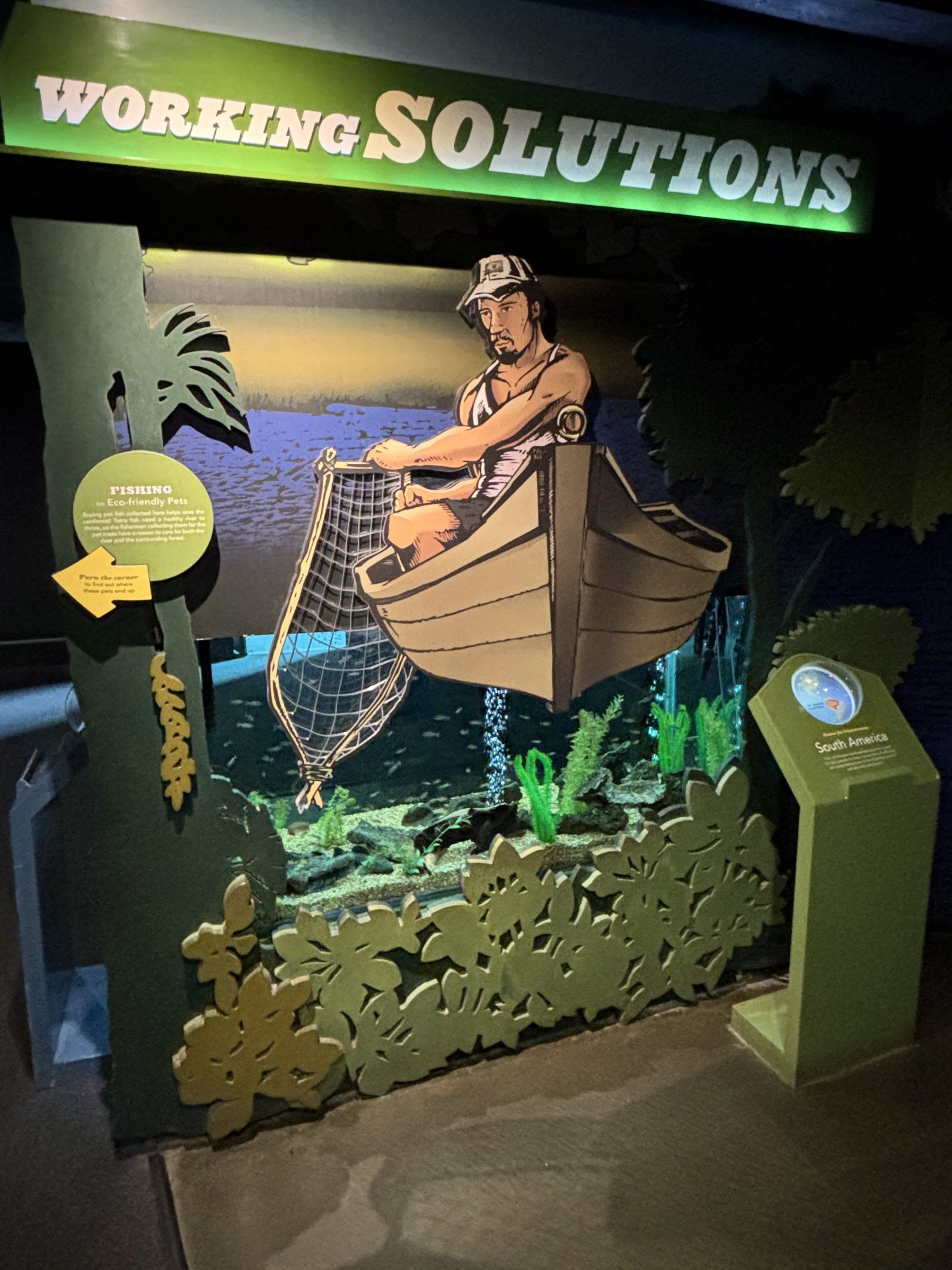 Working Solutions - conservation message