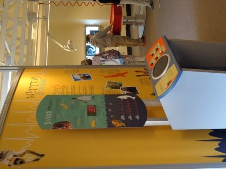 Working Wild Interactive Classroom in the Animal Care Center