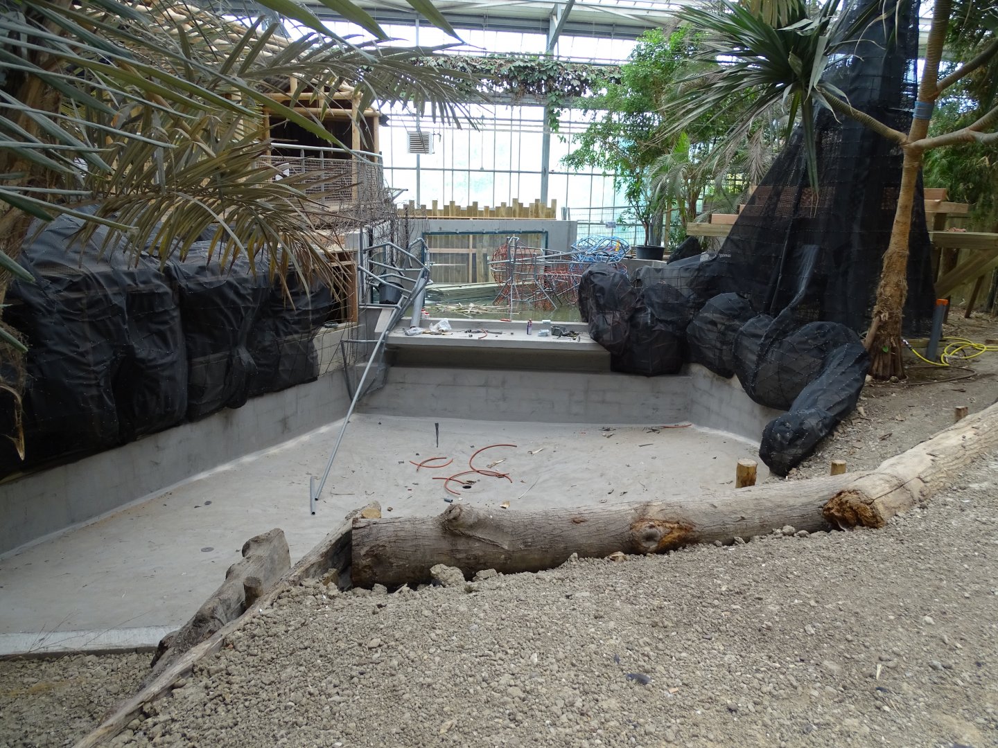 Works on the Gharial future exhibit