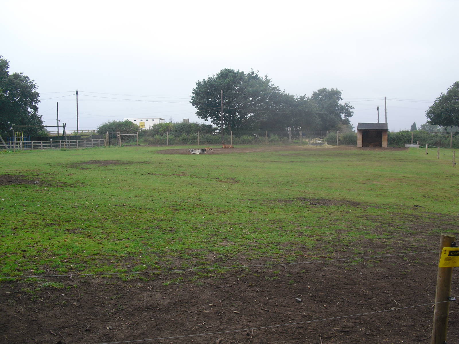 World Farm Paddock - 04/09/2011