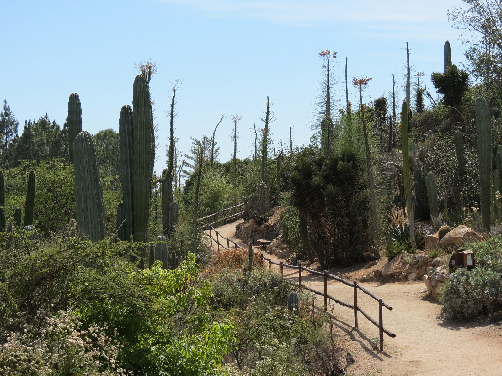 World Gardens - Baja Garden