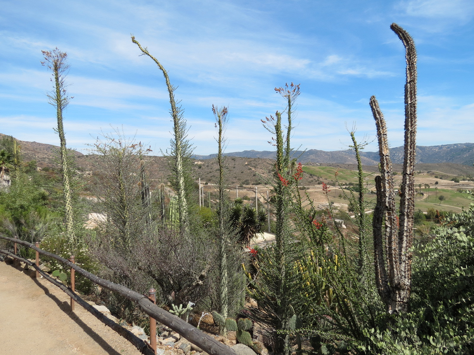 World Gardens - Baja Garden