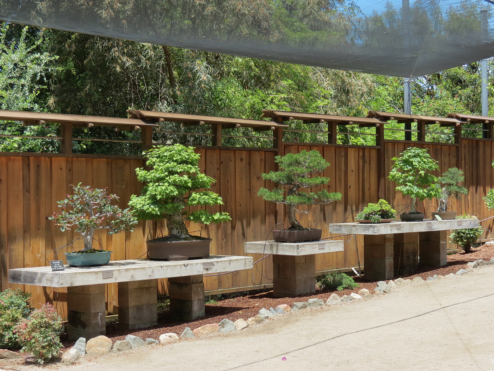 World Gardens - Bonsai Pavilion