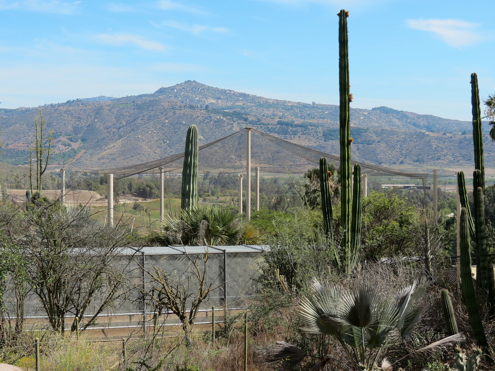 World Gardens - California Nativescapes Garden - View of Condor Ridge