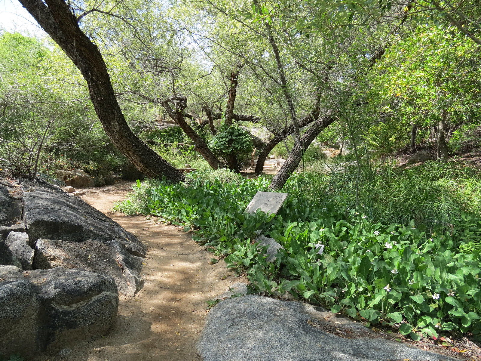World Gardens - California Nativescapes Garden