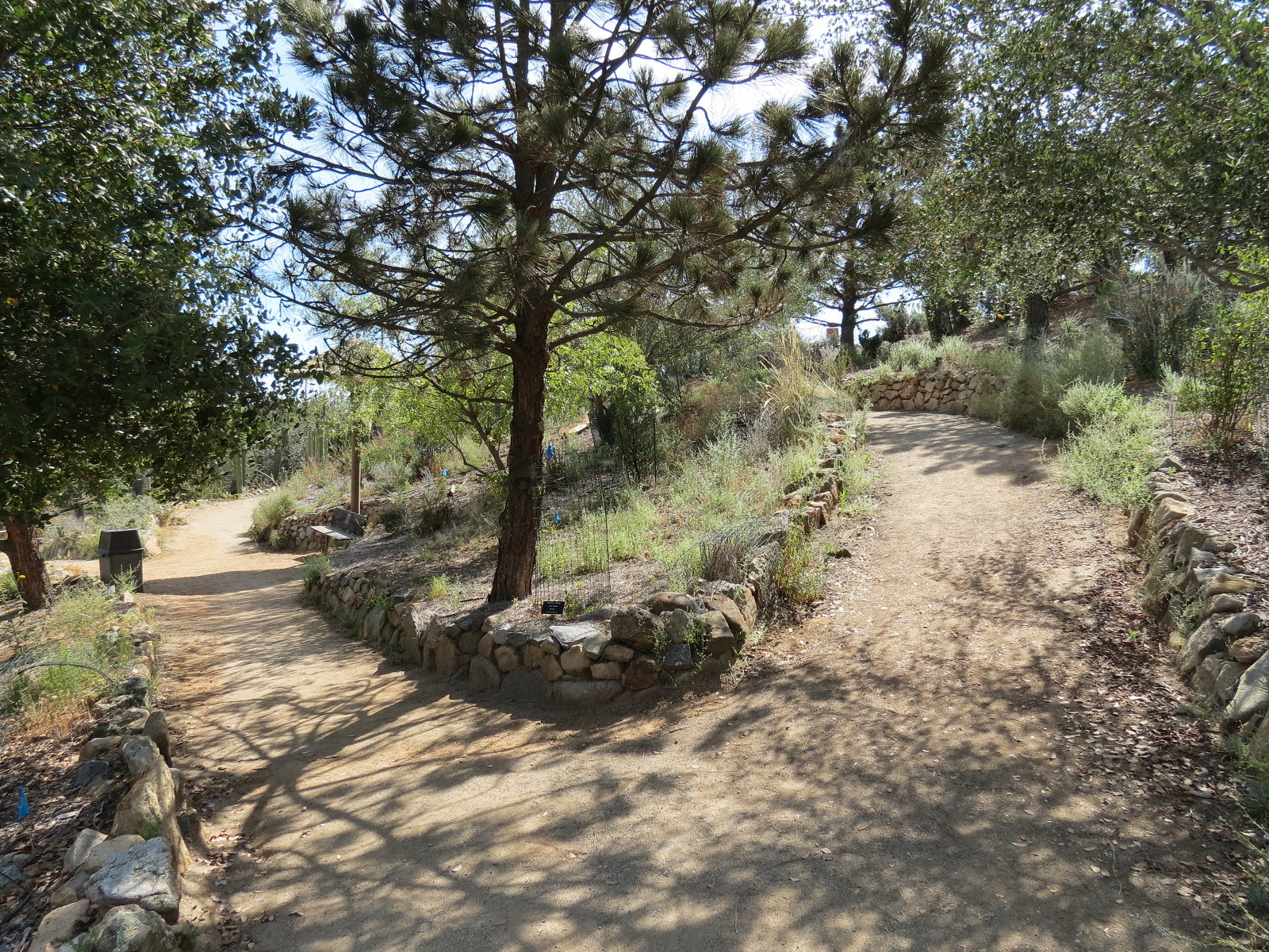 World Gardens - California Nativescapes Garden