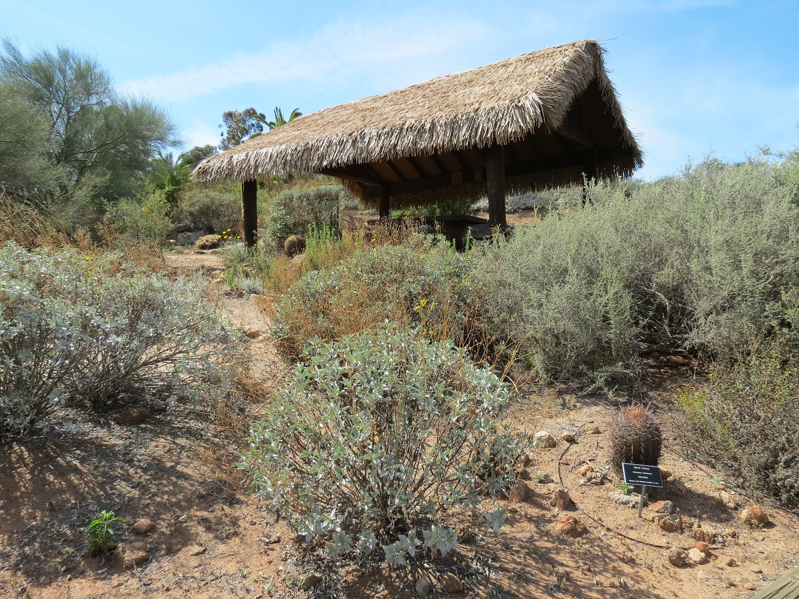World Gardens - California Nativescapes Garden