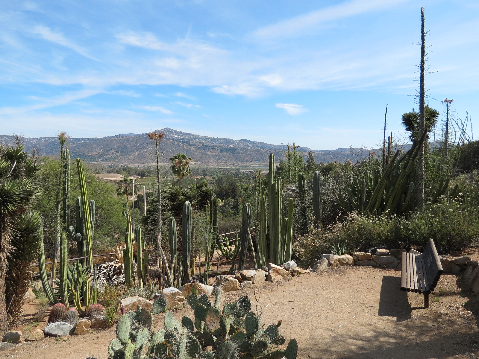 World Gardens - California Nativescapes Garden