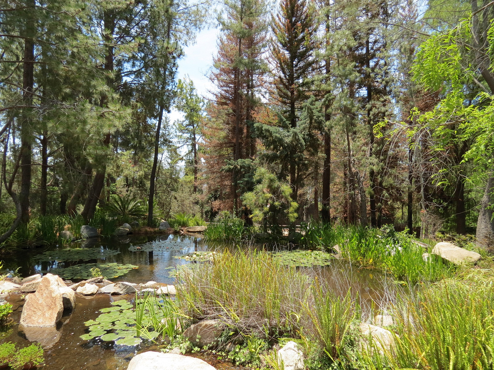 World Gardens - Kupanda Falls Botanical Center