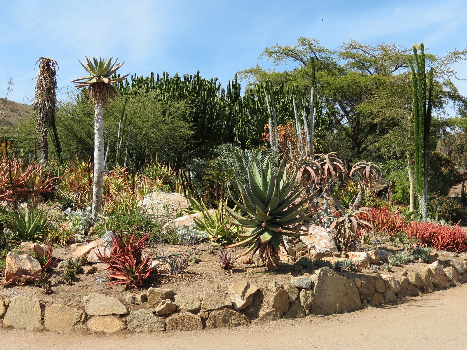 World Gardens - Old World Succulent Garden