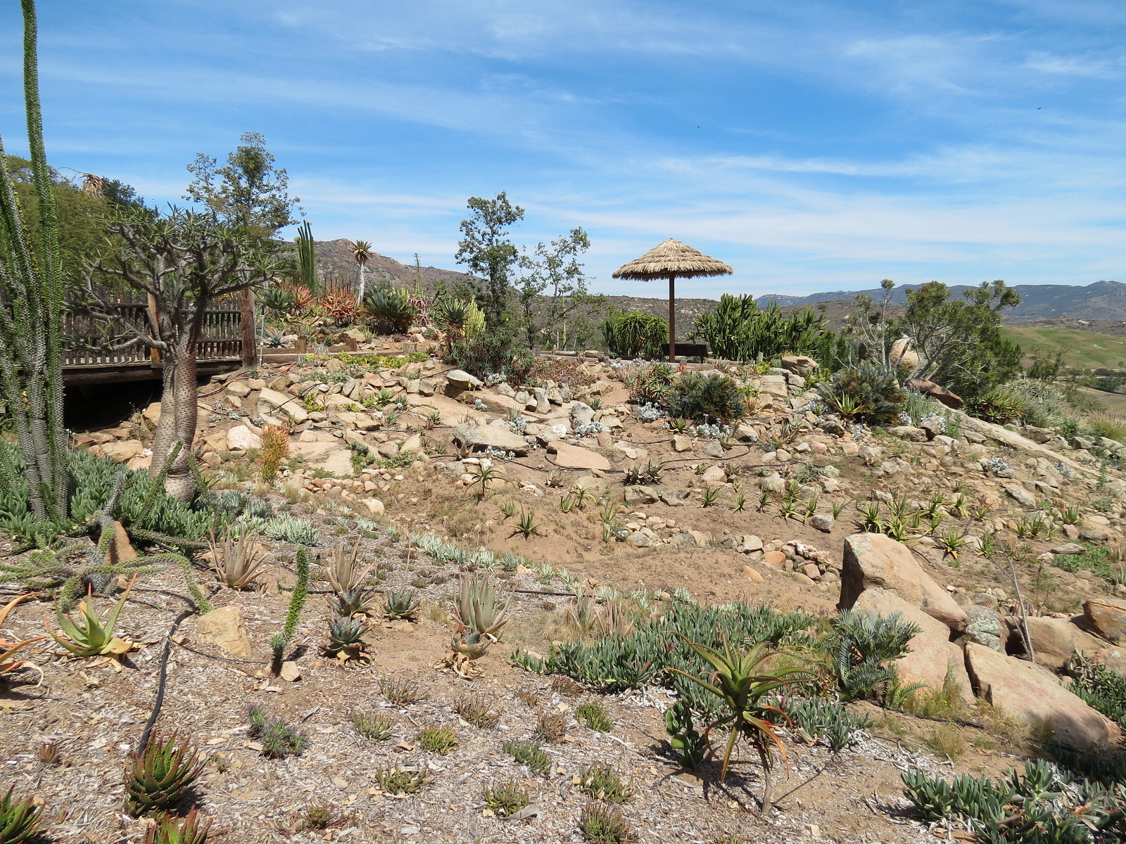 World Gardens - Old World Succulent Garden