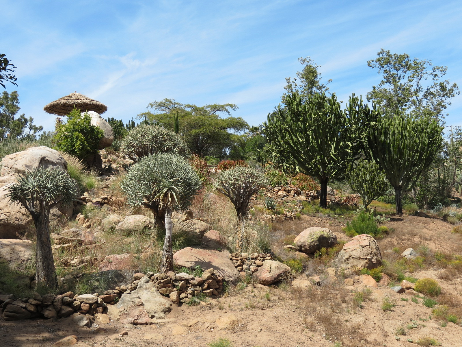 World Gardens - Old World Succulent Garden