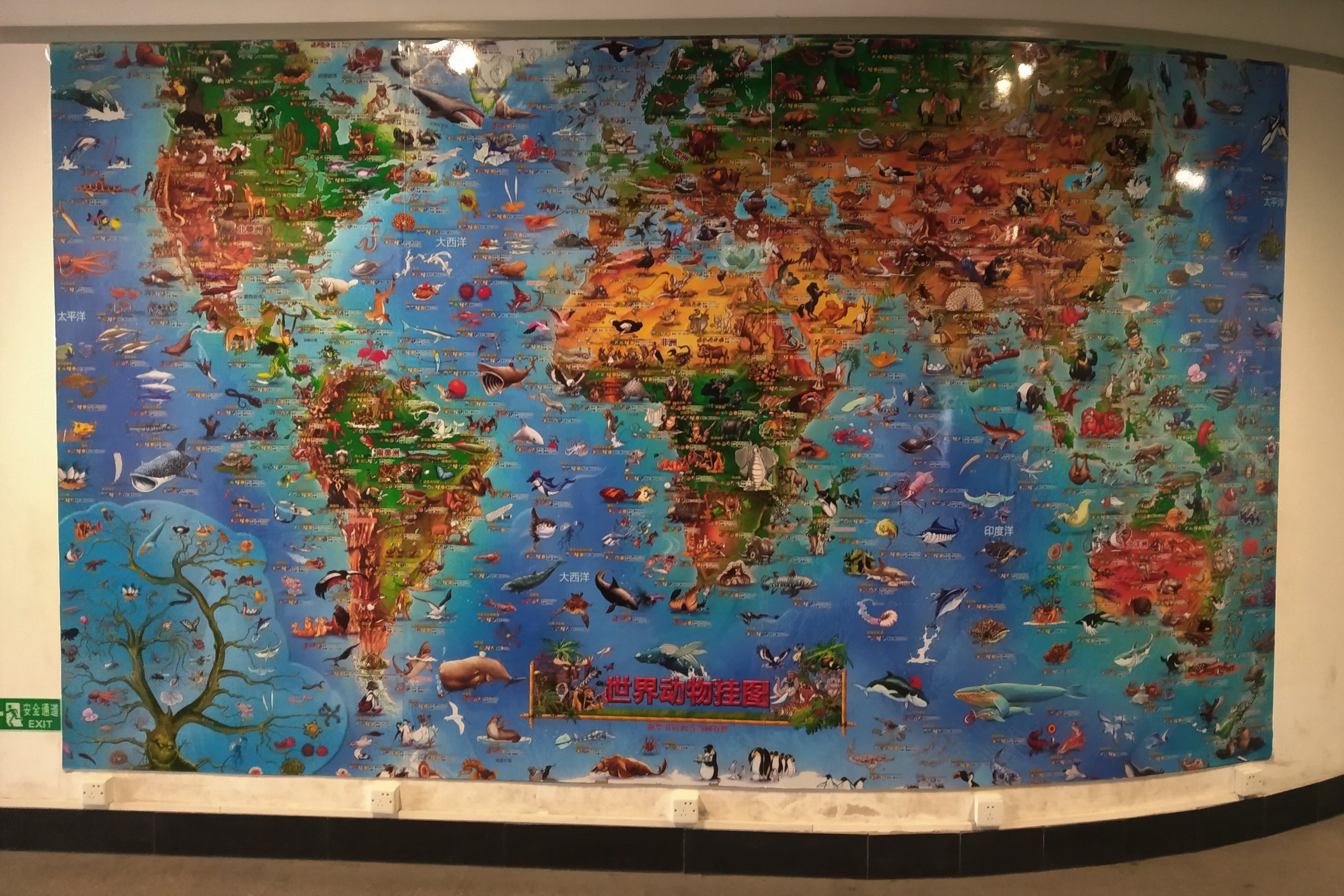 World Map, Education Centre