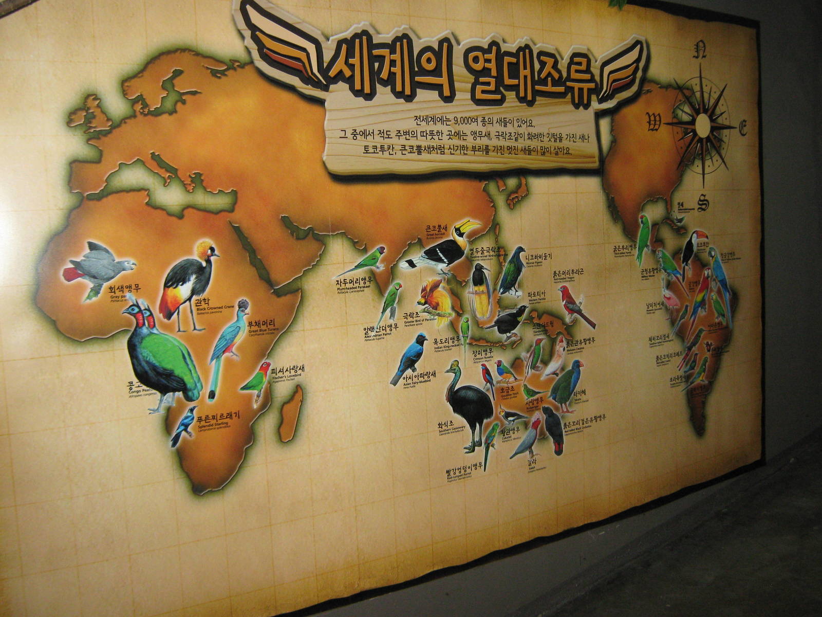 world map inside the Bird House
