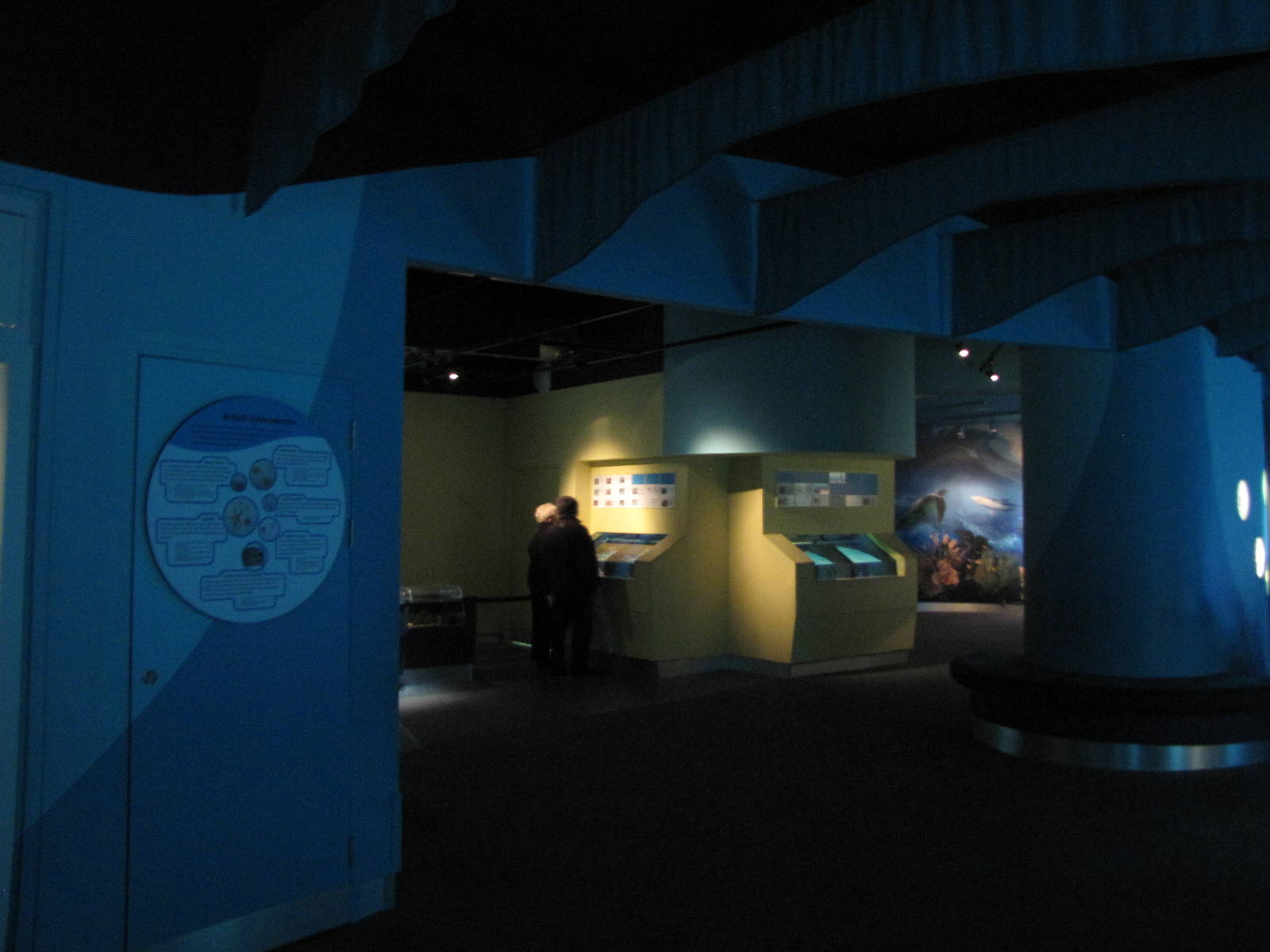 world museum aquarium