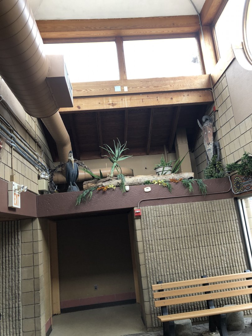 World of Adaptations Entrance Interior - Feb, 2020