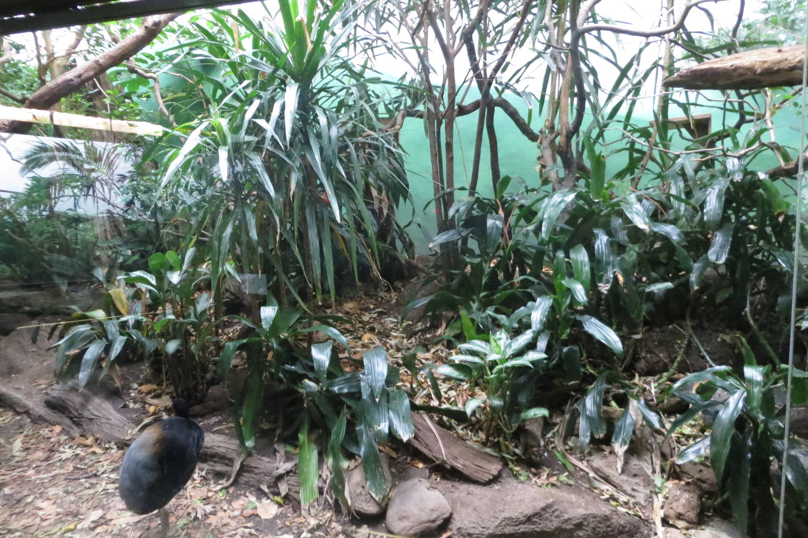 World of Birds 031215