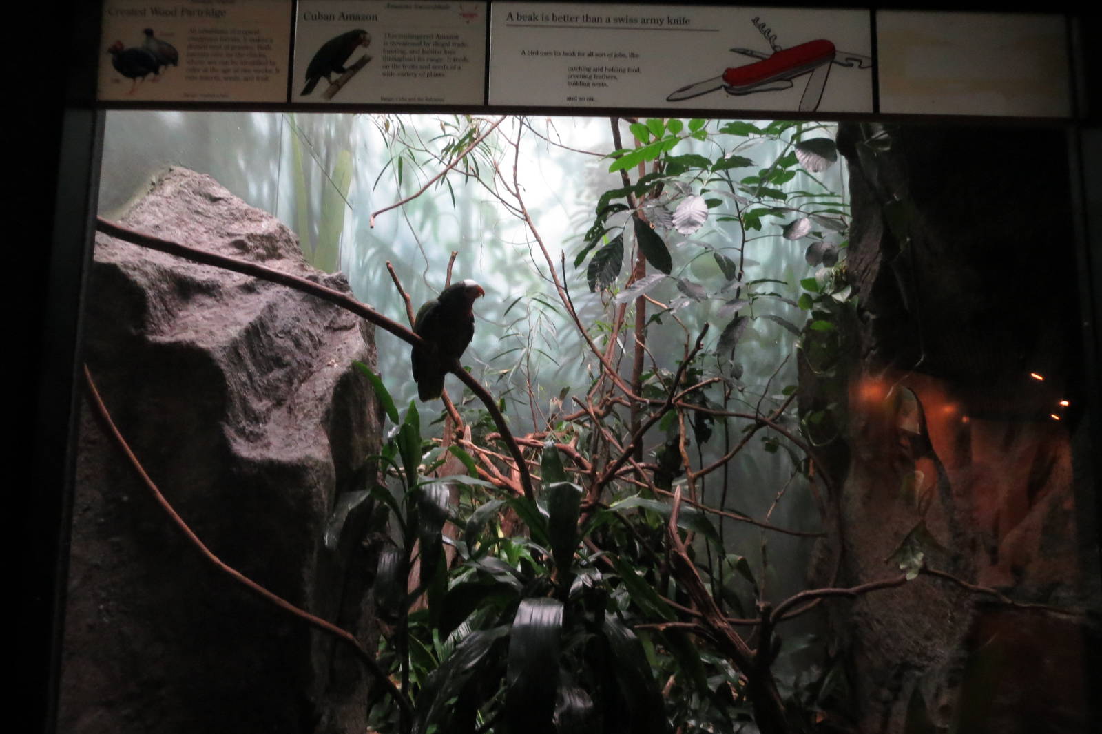 World of Birds 031215